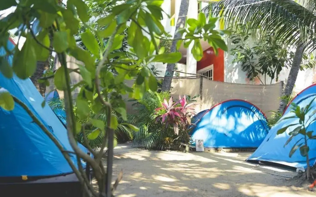 Kin Hostal and Camping