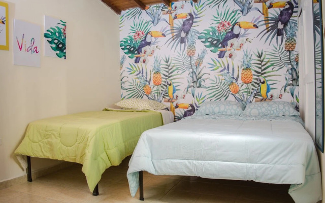 Hostal Pura Vida La 70