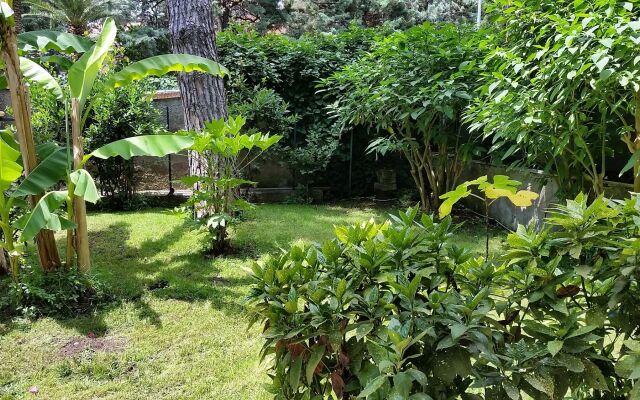 Il Giardino di Giulia 2