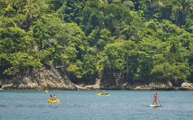 Jungle Vista Boutique Hotel