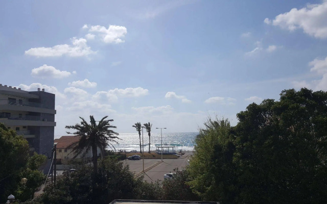 Palm on the Beach