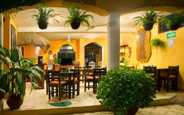 Hotel Bosque Caribe , 5th Av Zone