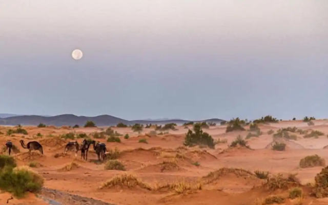 Tassili Luxury Desert Camp