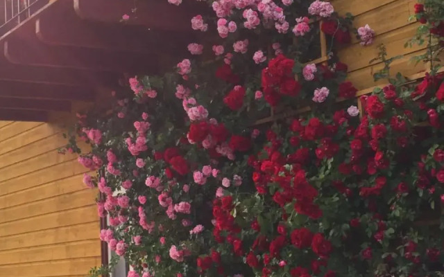 Suur-Sadama Apartment