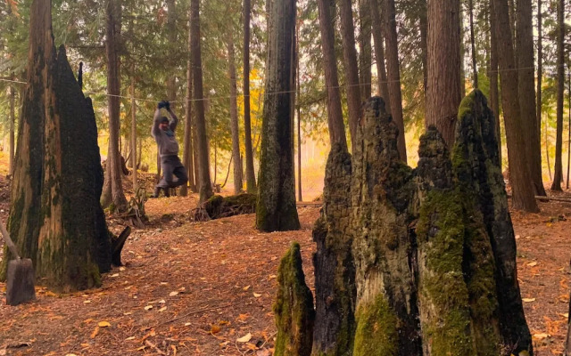 Eagle River Vacation Home