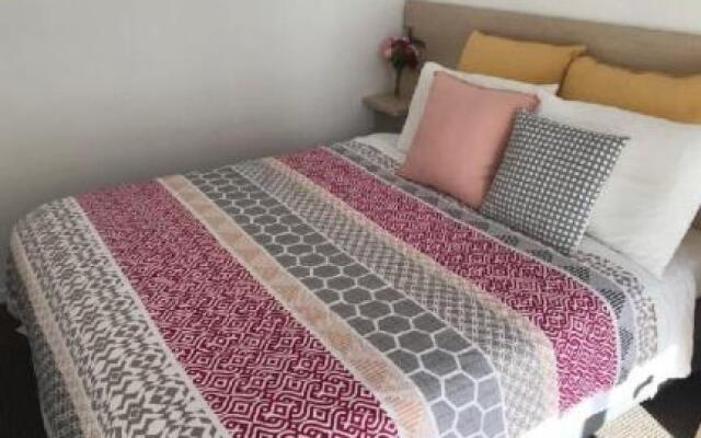 Auckland City coby Suite