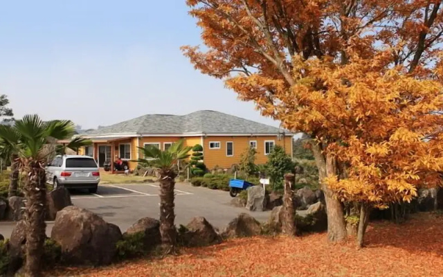 Skyline Pension