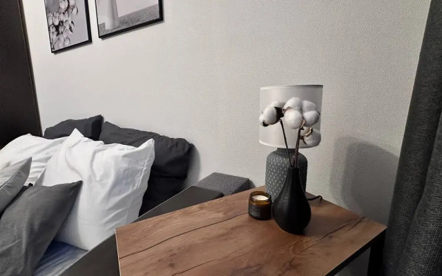 Apartments Lounge on Ozernaya street, 2