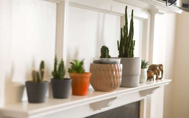 Spacious Flat in Centre of Bournemouth