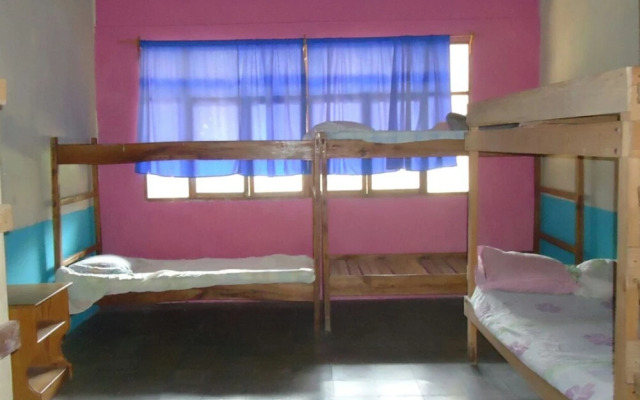 Ecoalbergue Canta Gallo