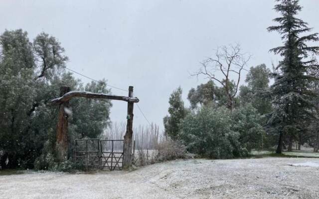 Posada Los Cipreses