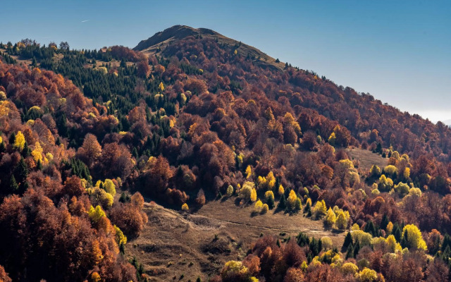 Vista47 Zoned II Kopaonik