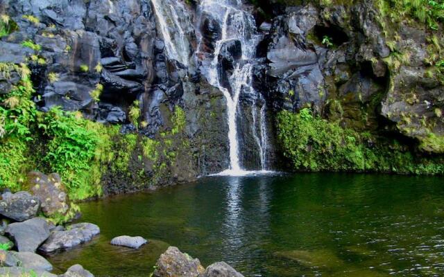 Alojamentos Flores Island