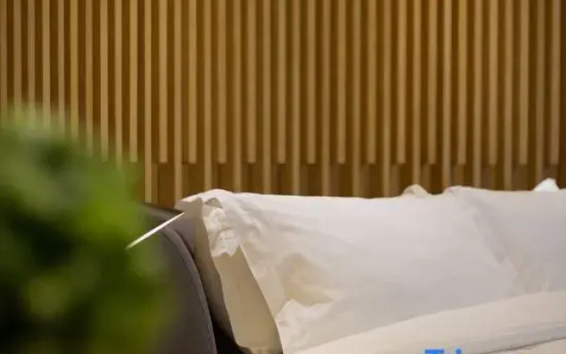 Sfeel Designer Hotel (Chengdu Jiuyan Bridge Shop)