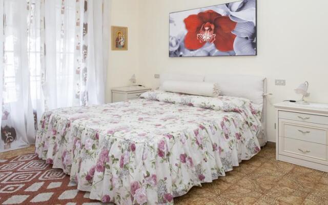 Gli agrumi del nonno