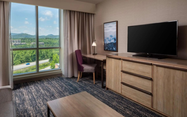 Hilton Asheville Biltmore Park