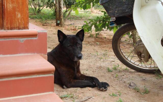 Spring Garden Homestay
