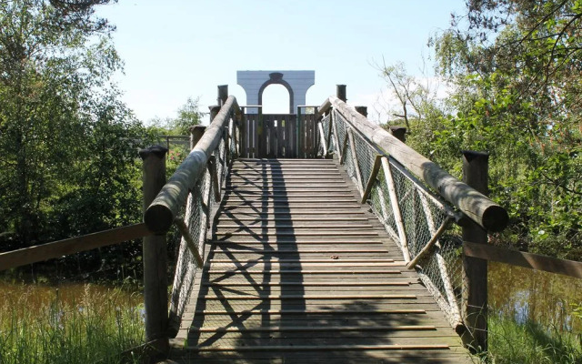 Marielyst Camping & Mobile Homes