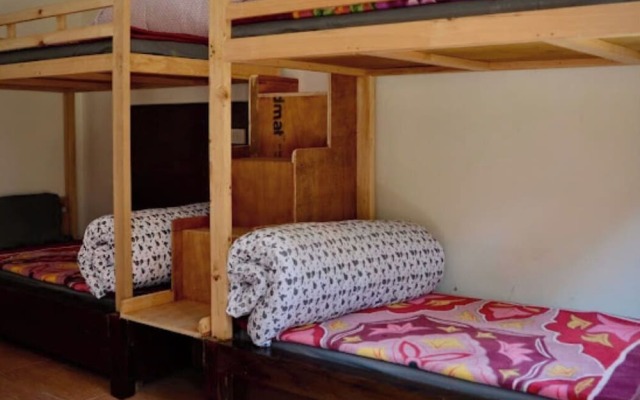 Hostel Abodes Trees of Heaven