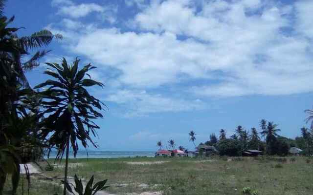 2Stoned Dormitory, Koh Phangan