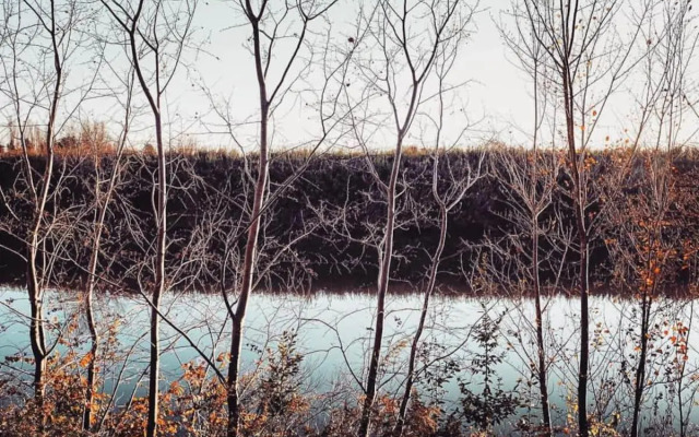 The Galileo Apartment