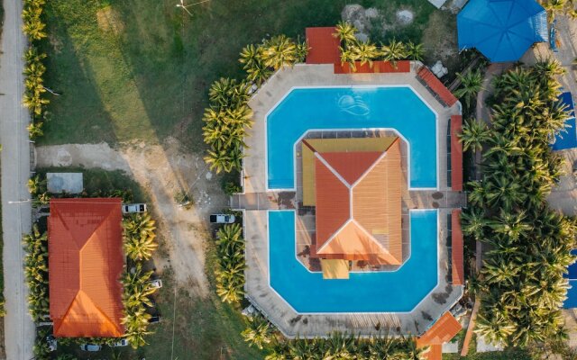 Palmazul - Viña del Mar