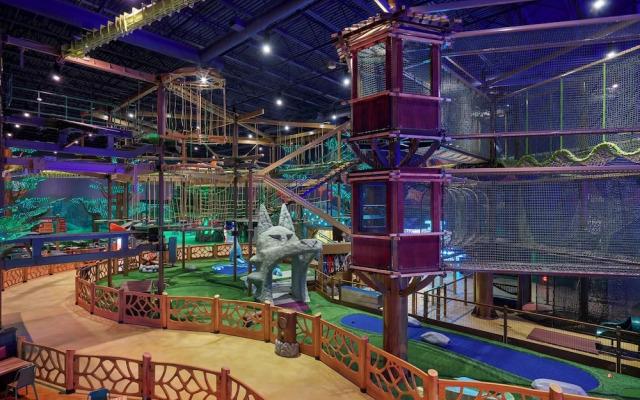 Great Wolf Lodge Webster