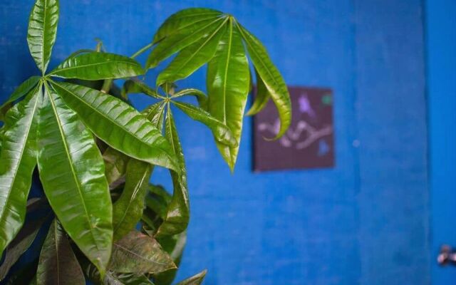 Ecoluna Lodge - Hostel