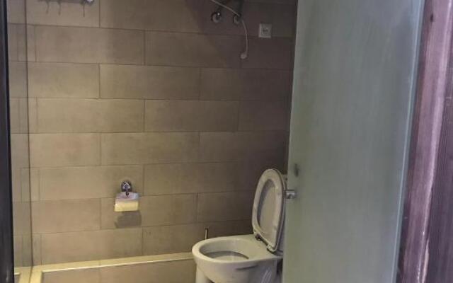 Mgzavrebi Apartment In Bakuriani