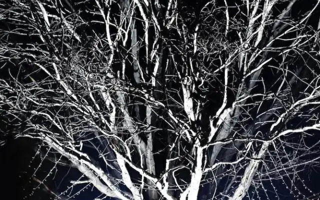 Accolades Boutique Venue