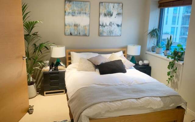 Modern 3 Bedroom Apartment in Paddington