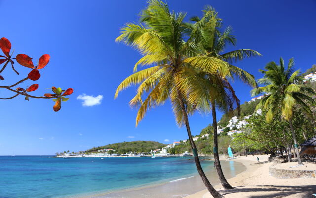 East Winds Saint Lucia