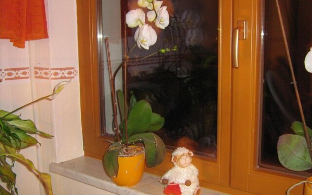 Haus Seppi