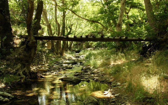 Onar Andros