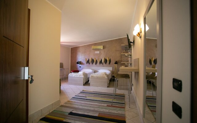 B&B Trepo