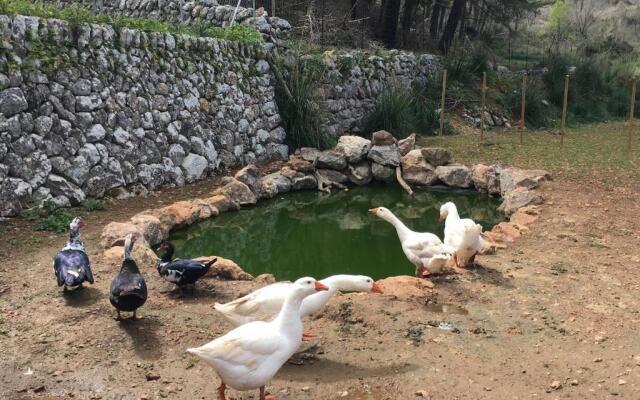 Finca Ses Fontanelles