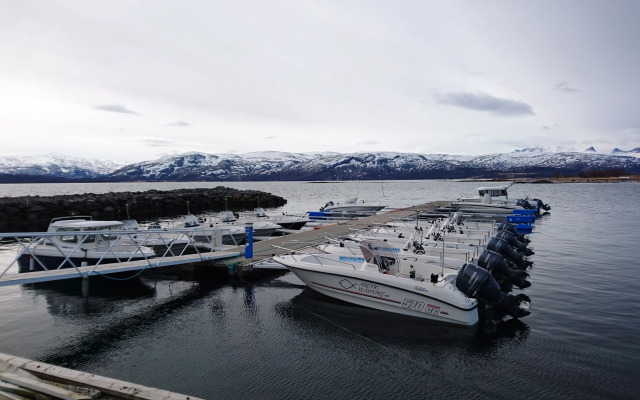Arctic Seasport