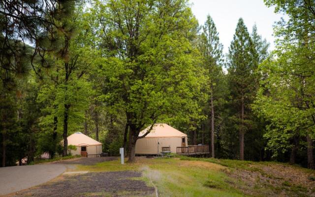 Yosemite Lakes Hillside Yurt 14