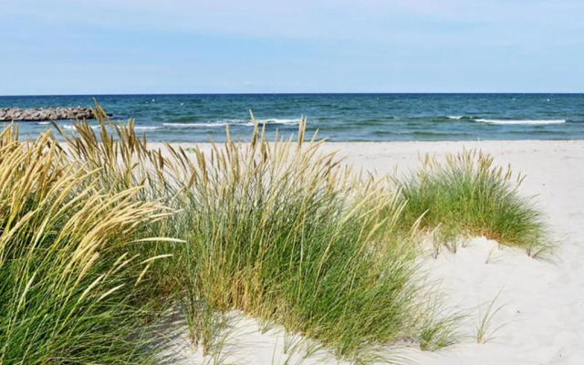 Haus Usedom Appartement Meeresklang