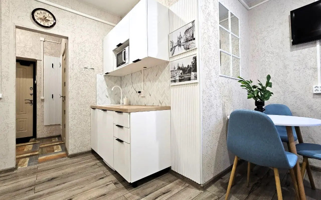 Апартаменты Исторический флигель на улице Писарева