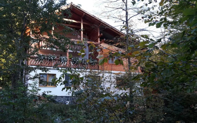 Pintea Chalet