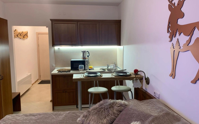 Bansko Ski To Door Studio De Luxe