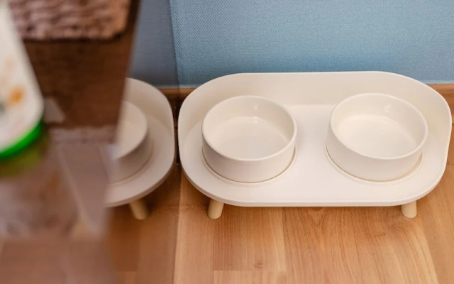 Yeongwol Nature & Pet Retreat