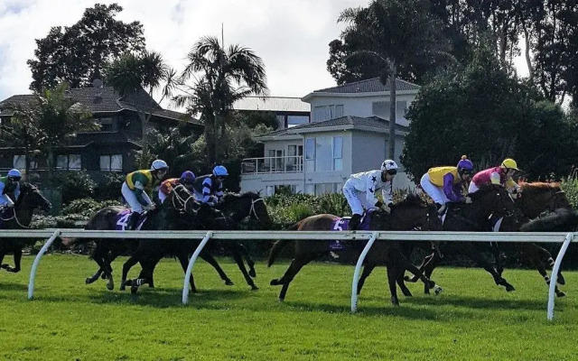 Racecourse Deluxe