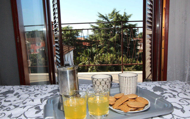 Apartments Villa Nikola