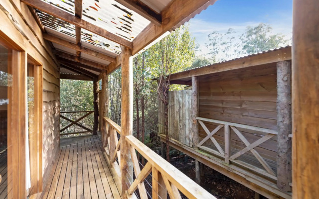 Cradle Forest Inn