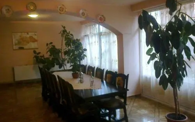 pensiunea Montana Sapinta