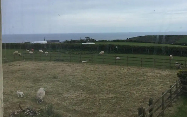 The Burrows Bed and Breakfast