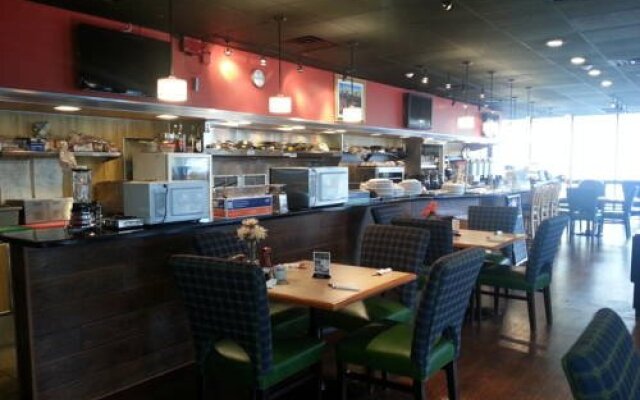 萨拉索塔机场酒店(Sarasota Airport Hotel)