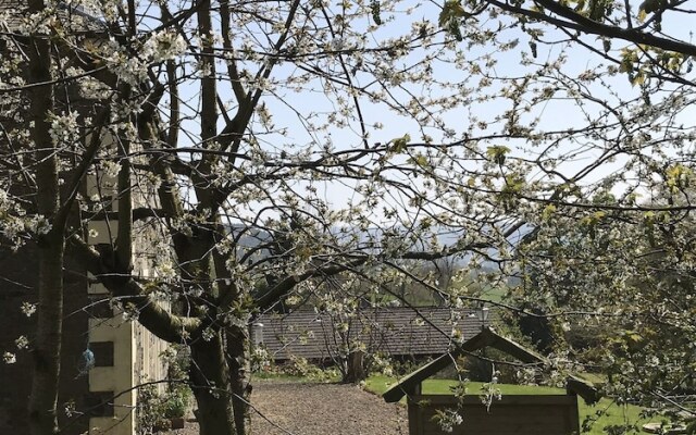 Winkston Courtyard Cottages